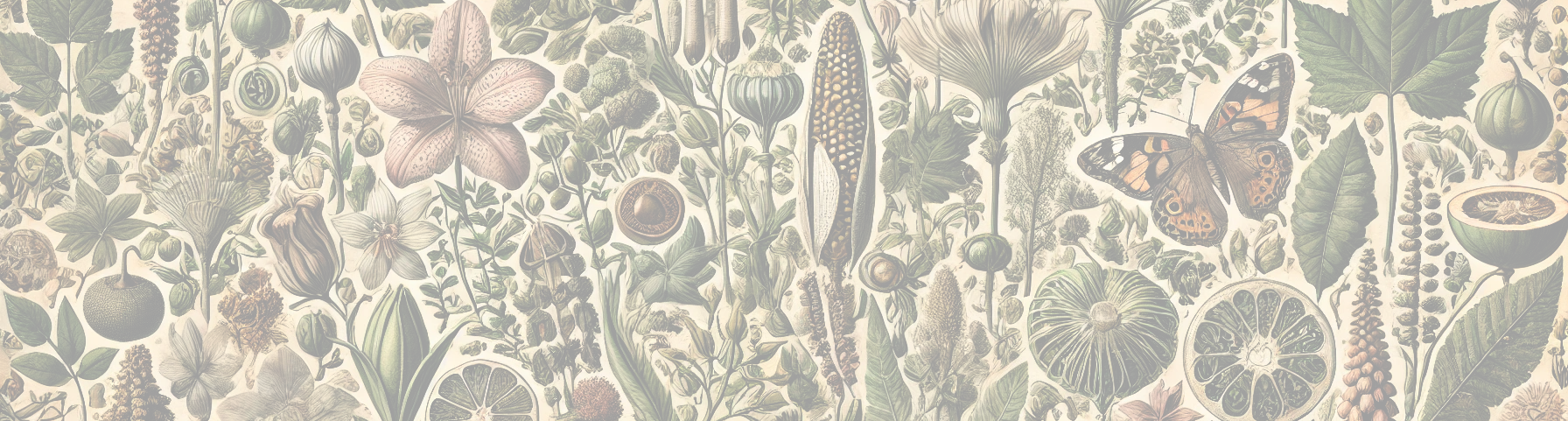 Self-Containedness with semantically strong types as a design principle